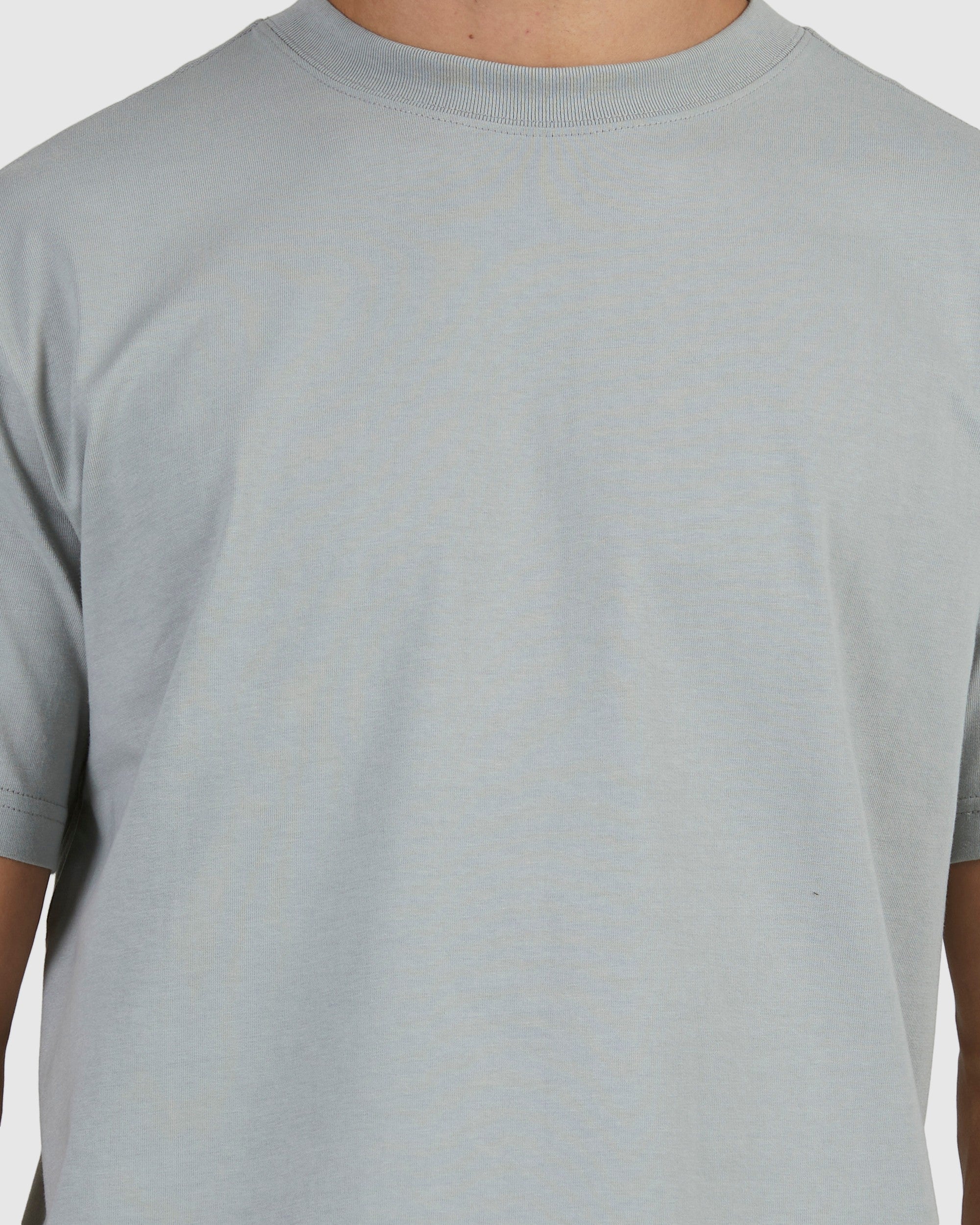 Mens RVCA Basic T-Shirt